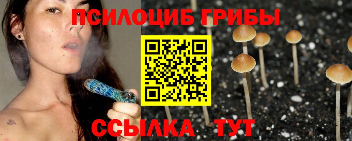 Галлюциногенные грибы Cubensis Урус-Мартан